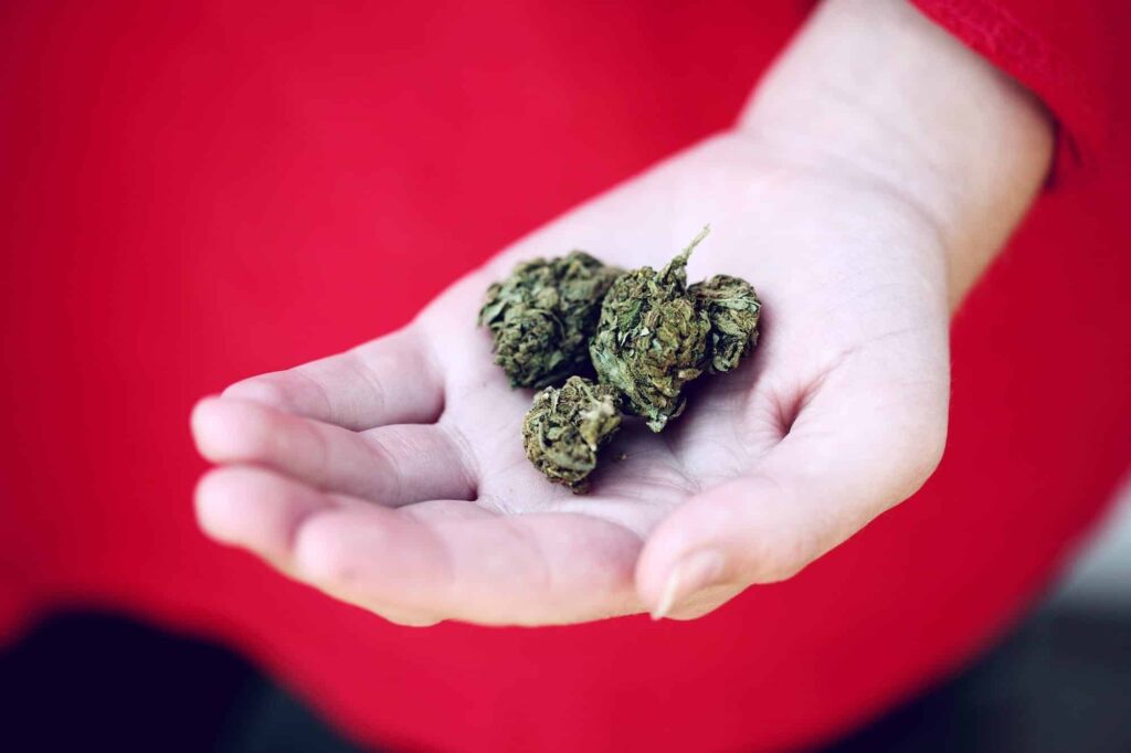 Your ultimate guide for purchasing weed in Vegas