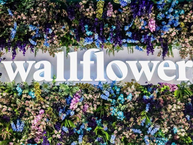 wallflower-house-logo-store