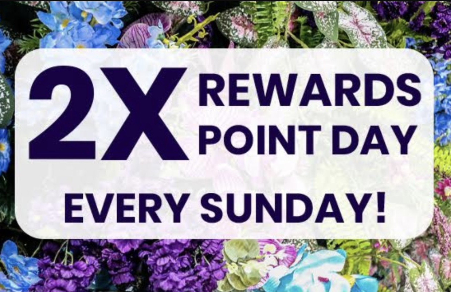 Sunday - 2x points