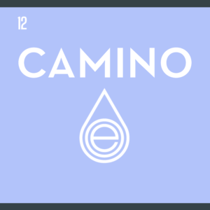 Logo of Camino and Optimum Extracts
