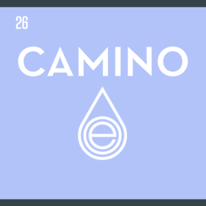 Logo of Camino and Optimum Extracts