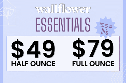 Updated Daily Specials (499 x 329 px) - Deals page - Essentials