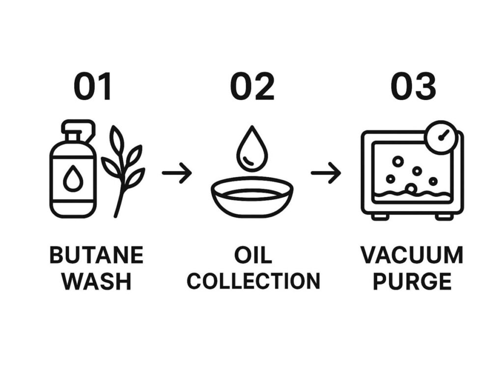 Infographic about what is bho